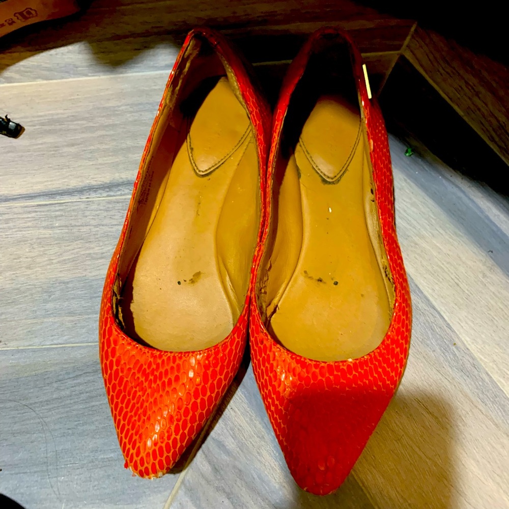 Orange Crocodile Pointy Foot